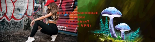 Альфа ПВП Вязники