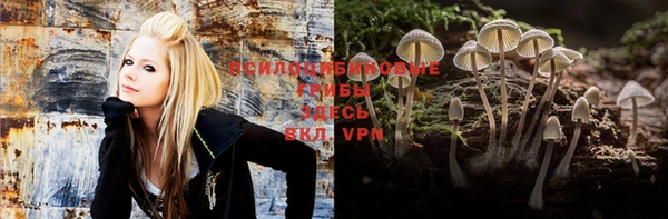 твердый Вяземский