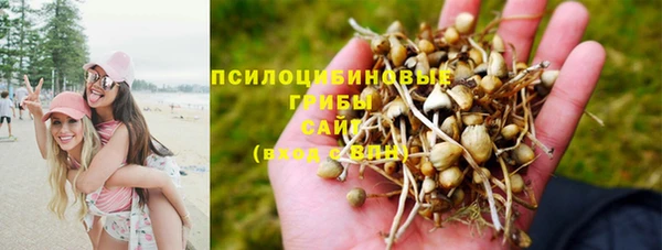 МДПВ Сосновка